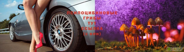 крисы Алзамай