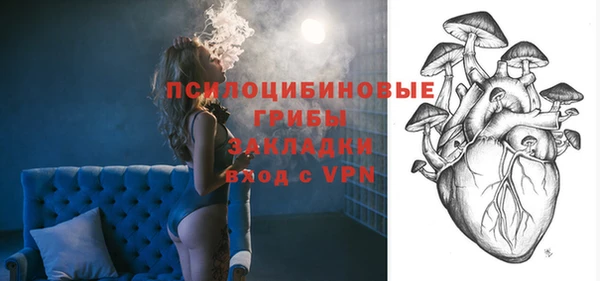 шишки Алексеевка