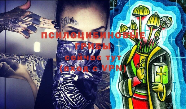 крисы Алзамай