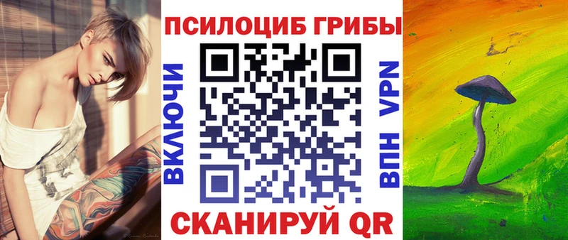 Псилоцибиновые грибы Cubensis  купить   Новотитаровская 